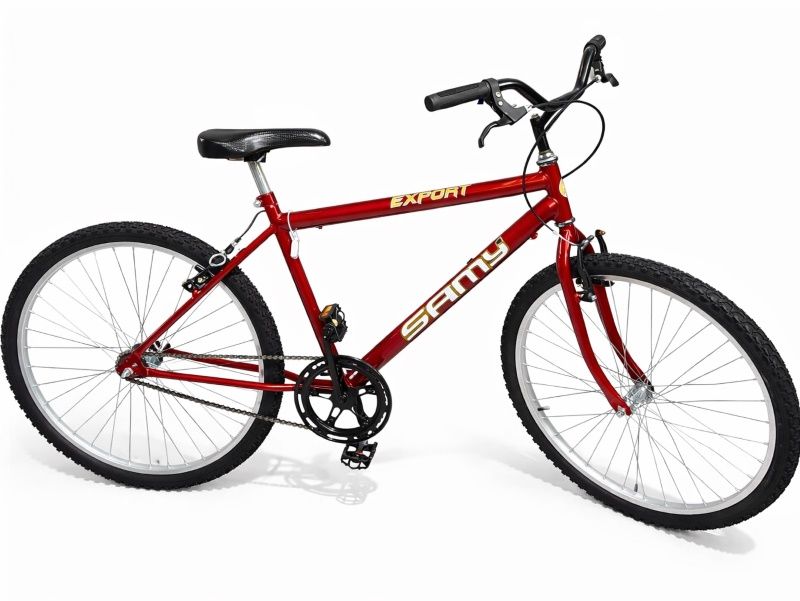 BIC. WENDY/SAMY 26 BIKE MASC AÇO VM