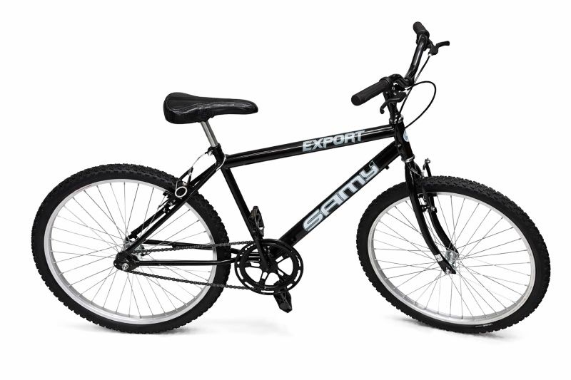 BIC. SAMY 24 BIKE MASC AÇO PTO
